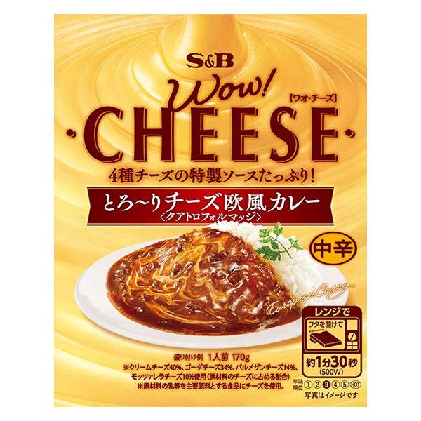 170g×1個 エスビー食品 とろ〜りチーズ欧風カレー 中辛 0095