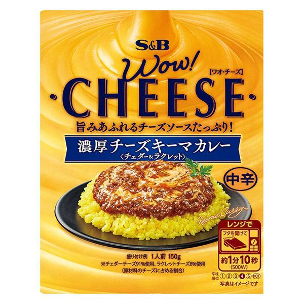 150g×1個 エスビー食品 濃厚チーズキーマカレー 中辛 0095