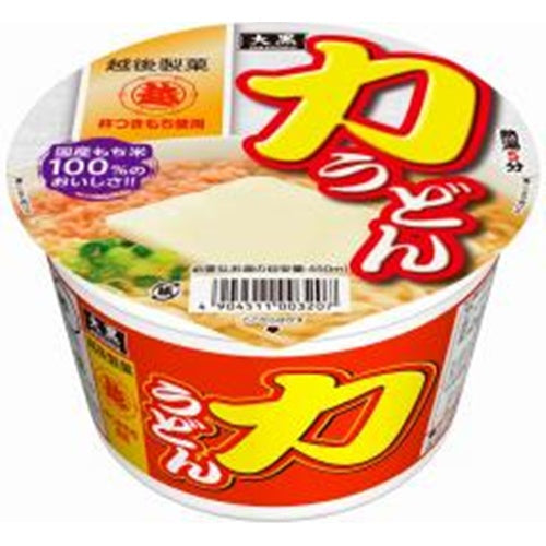 100g×1個 大黒食品工業 大黒 力うどん 0038